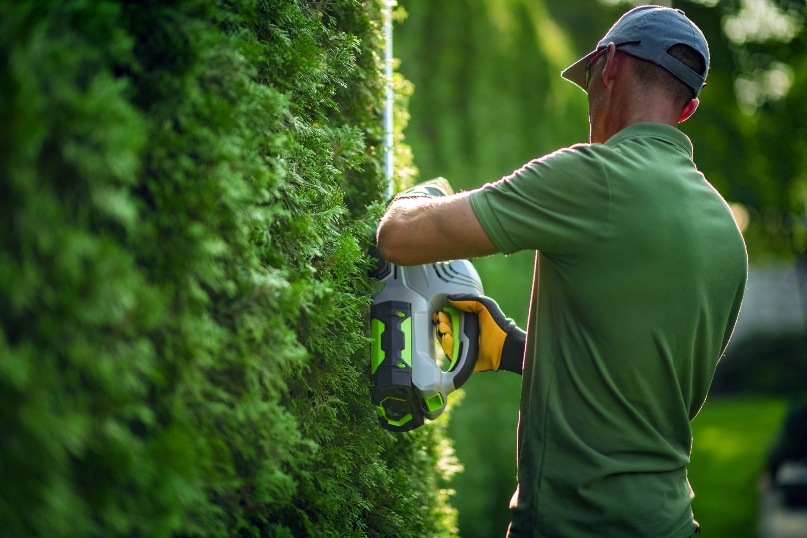 Enhancing Curb Appeal with Professional Bush Trimming and Removal