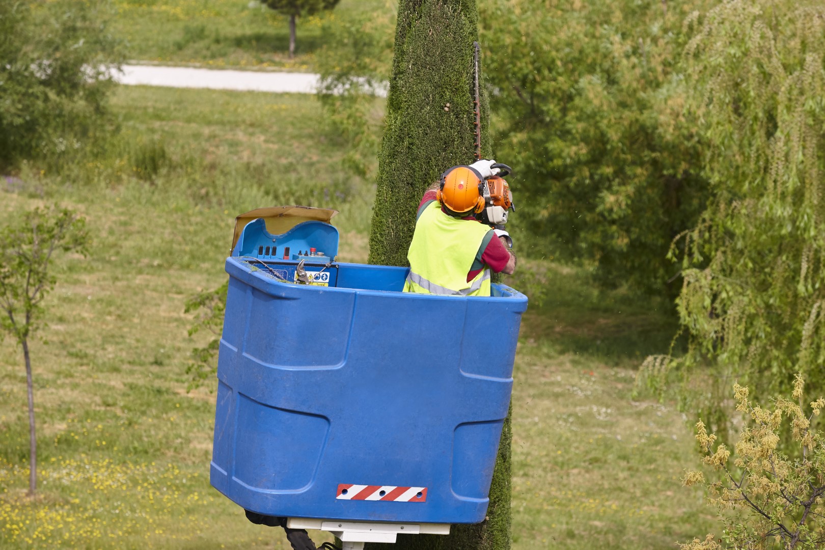 How to Choose the Right Tree Service Company in Colorado