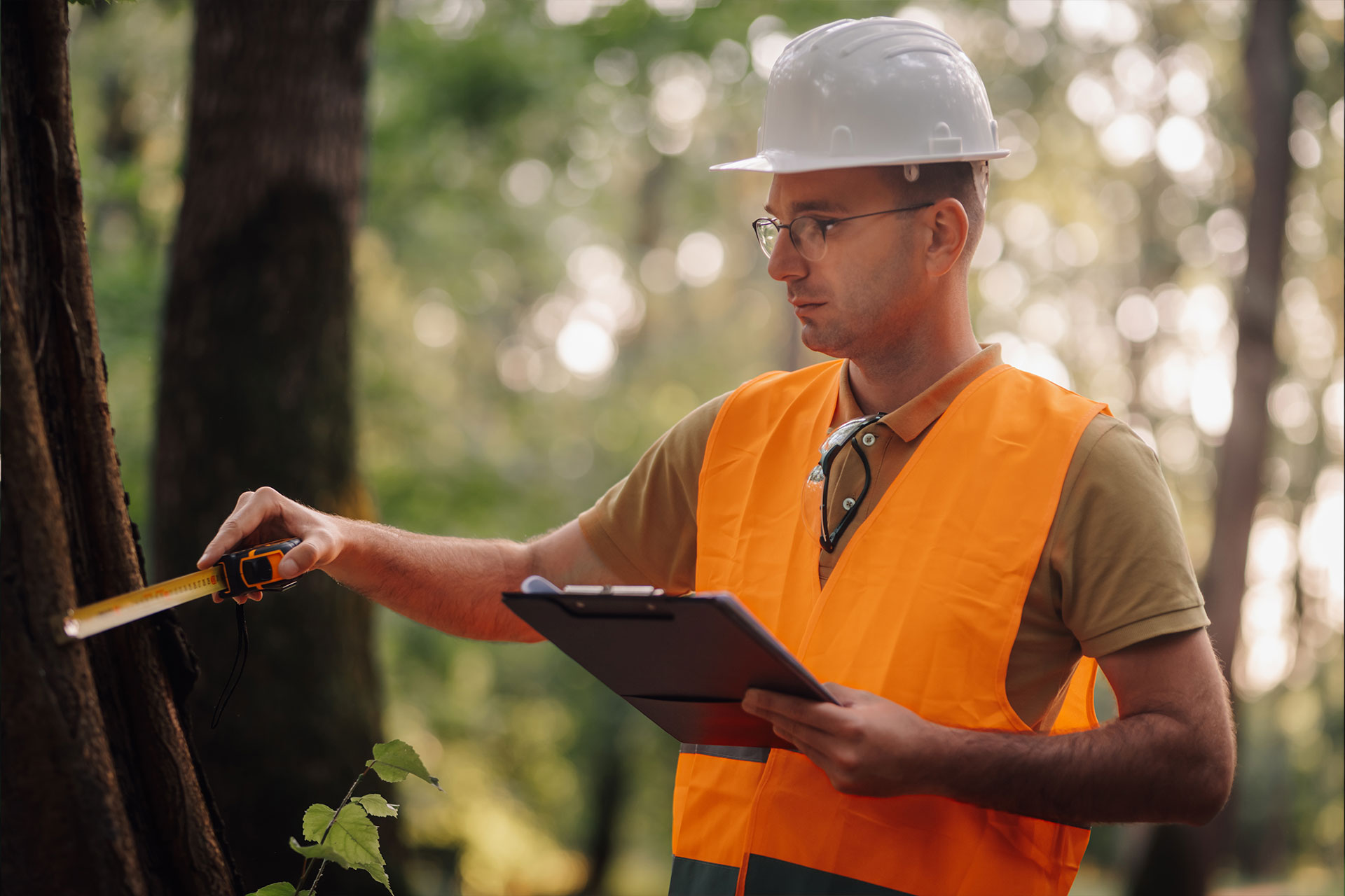 Tree professional inspecting a trunk with a tape measure and clipboard