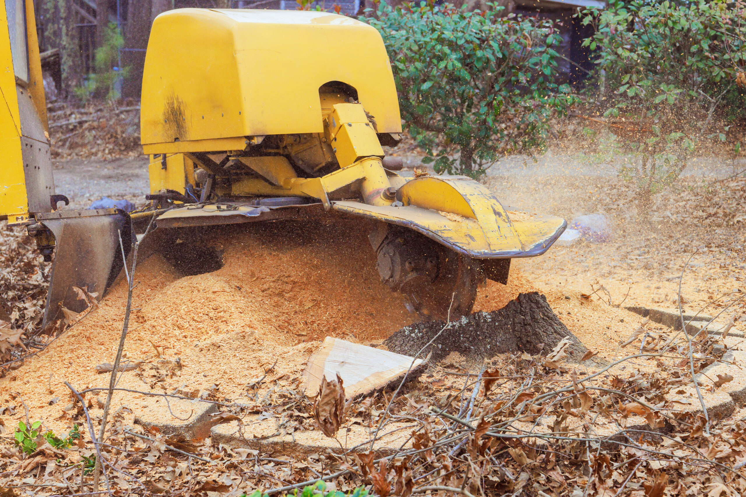 Stump-grinding equipment working at ground level